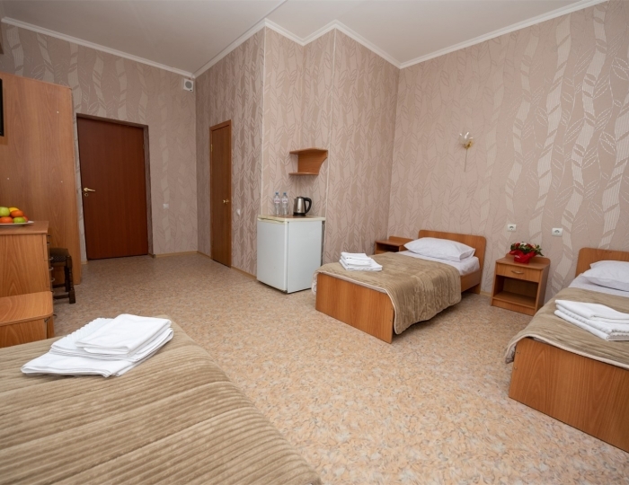 Эконом 3-местный 1-комнатный - Санаторий «Славутич» (корпус 9) Алушта